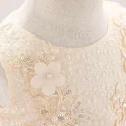 Robe De Baptême Bébé Fille 6 Mois -Promos Parurelle Boutique Ha25f711a08e046ab83e63c73bb93eacbz 1