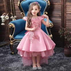 Robe Princesse Rose Fille