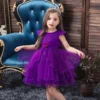 Déguisement Robe Princesse Violette