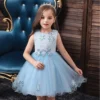 Robe Bleu Princesse Tulle