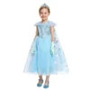 Robe De Princesse Des Glaces