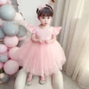 Robe Princesse Bébé 12 Mois