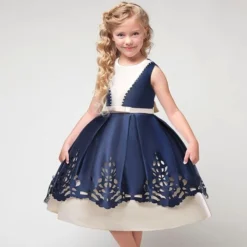 Robe De Princesse Bleu Et Blanc