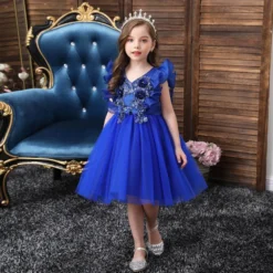 Robe Princesse Bleu Foncé
