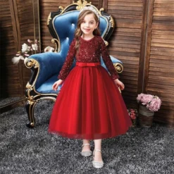 Robe Princesse Fille Hiver