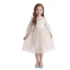 Robe Princesse Manches Longues