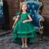 Robe Princesse Verte Fille